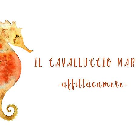 Il Cavalluccio Marino Manarola Zewnętrze zdjęcie