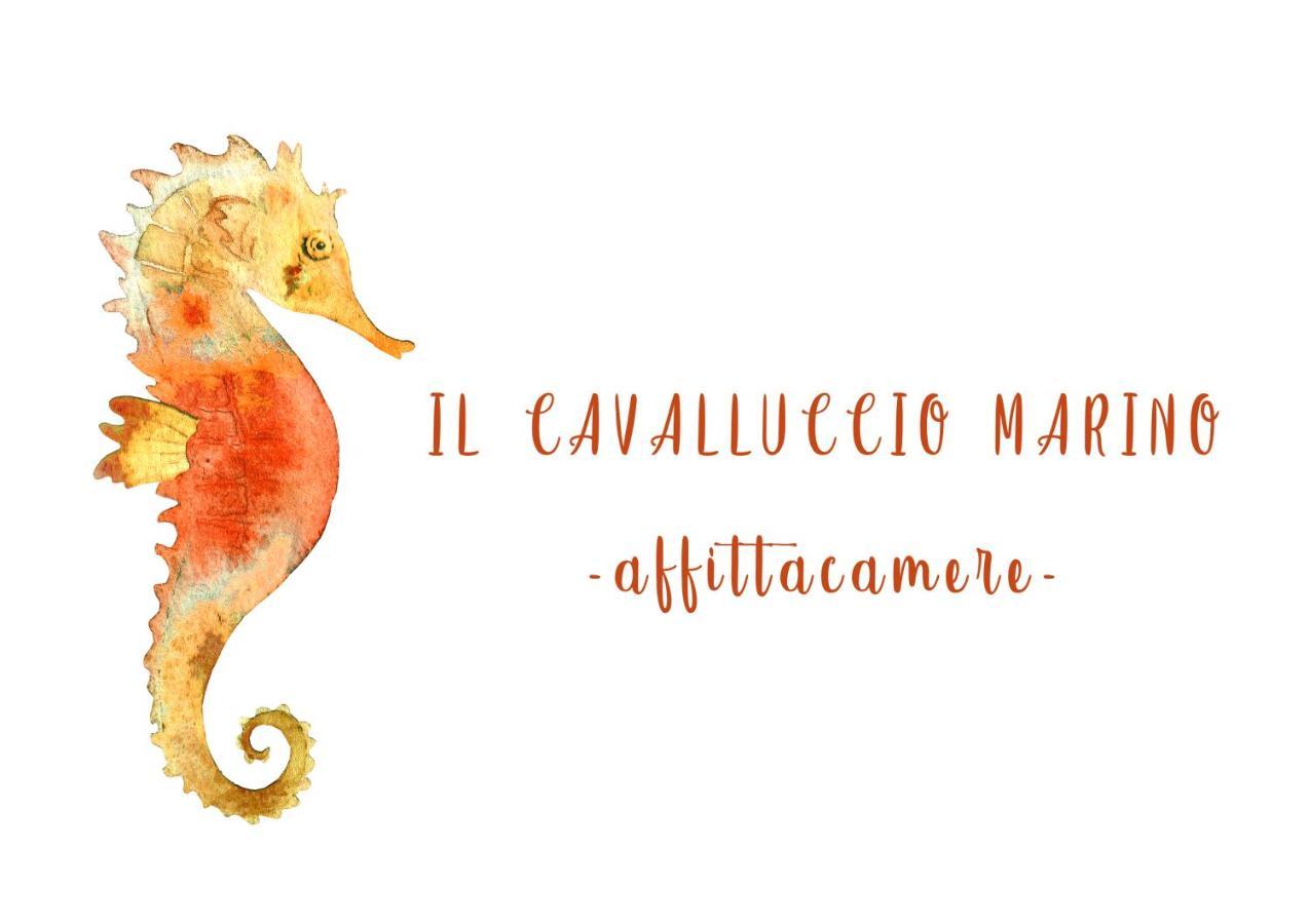 Il Cavalluccio Marino Manarola Zewnętrze zdjęcie