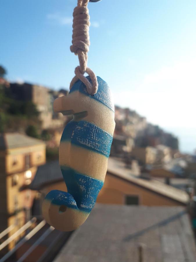Il Cavalluccio Marino Manarola Zewnętrze zdjęcie