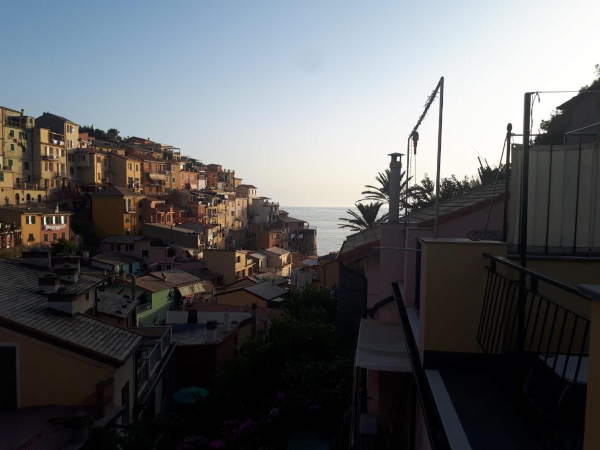 Il Cavalluccio Marino Manarola Zewnętrze zdjęcie